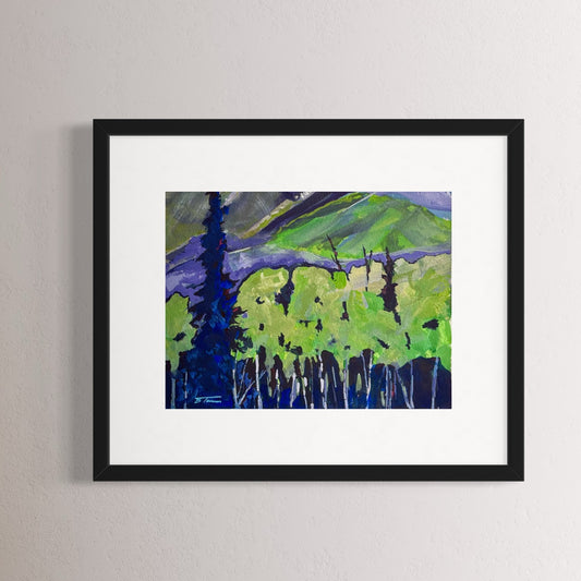 The Dark and Evergreen