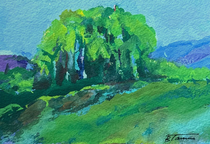 Under the Willow