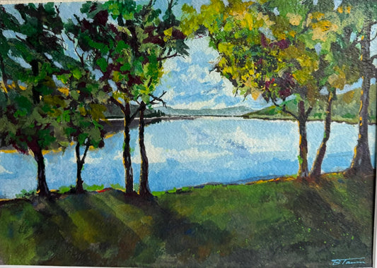 Summer Lake Day in Michigan