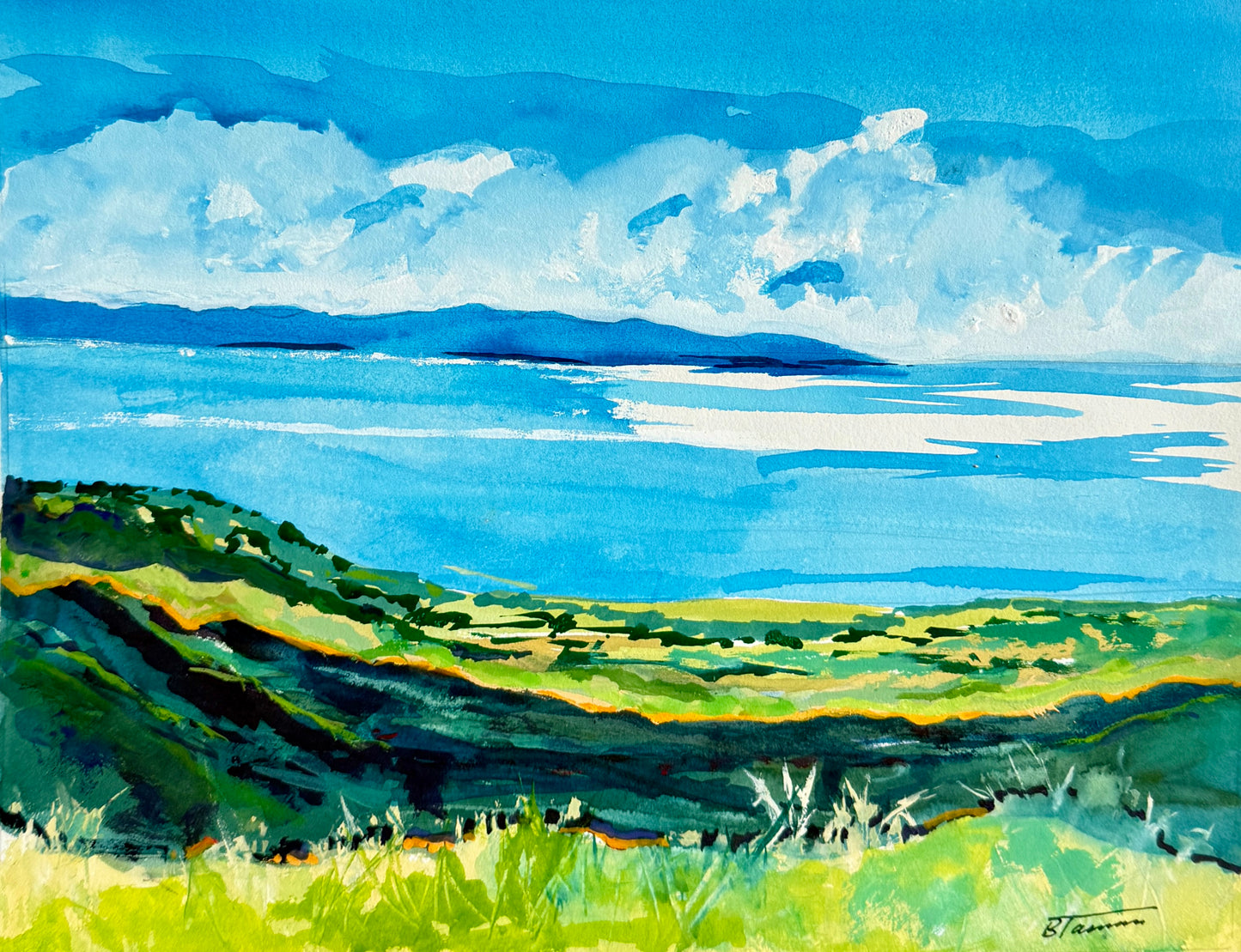 View of the Channel Islands