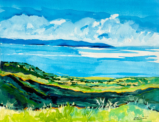 View of the Channel Islands