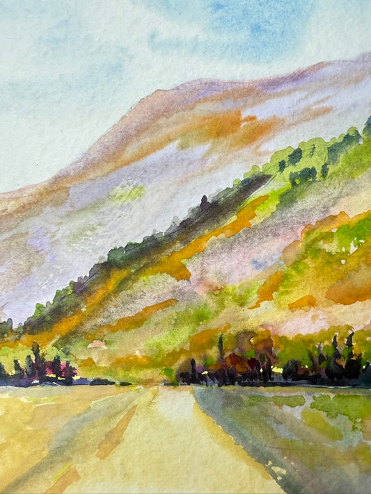Summer at Wilderness Ranch