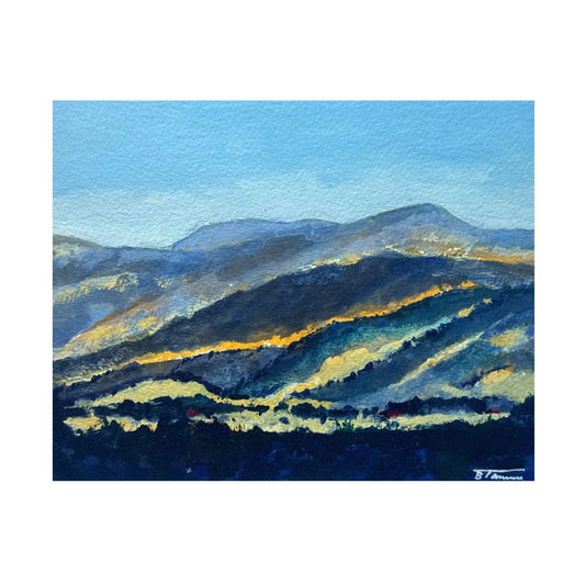Santa Ynez