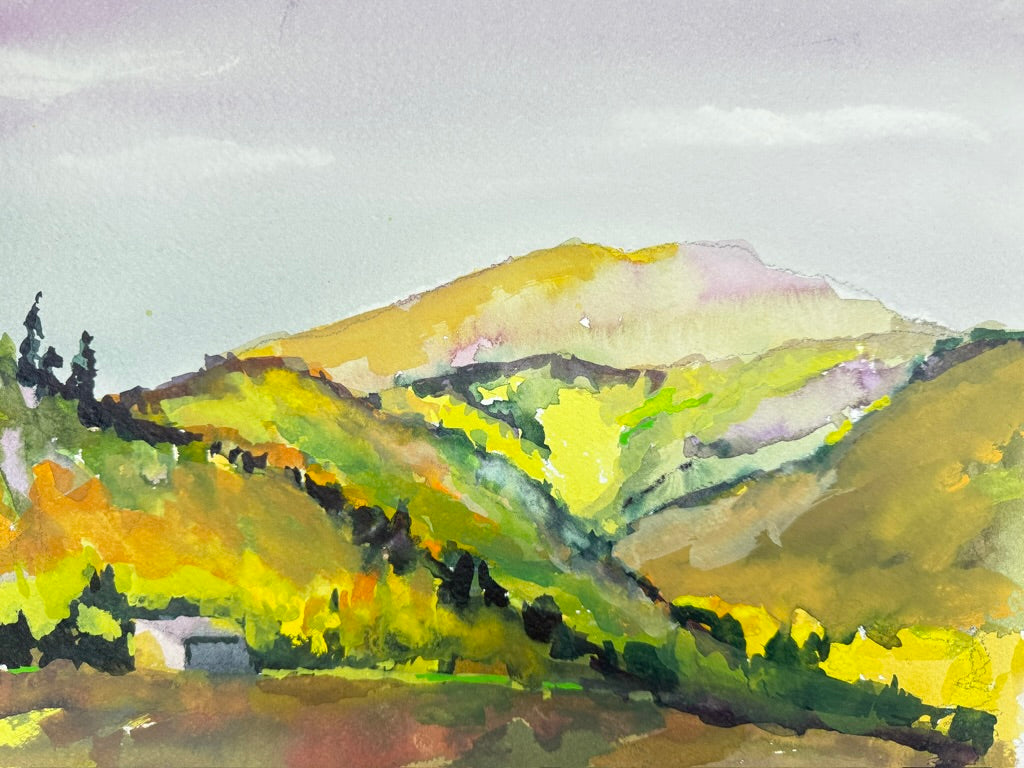 Colorado Wilderness