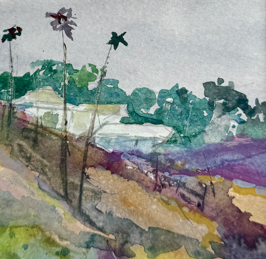 Foggy Memories of Santa Barbara