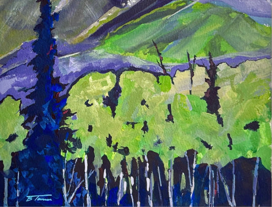 The Dark and Evergreen