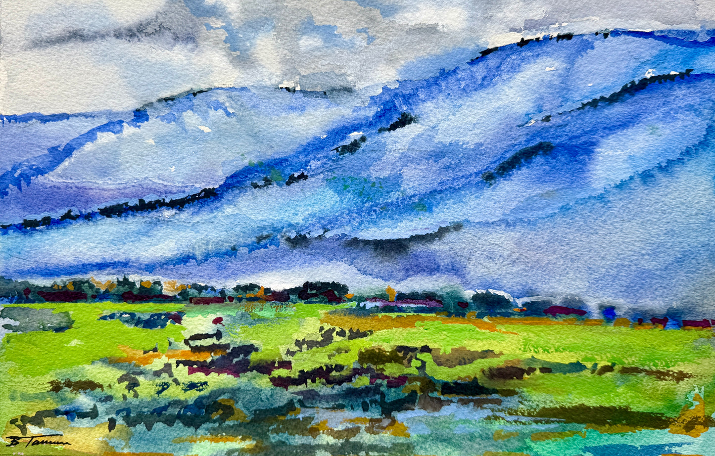 Mornings over the Santa Ynez Valley