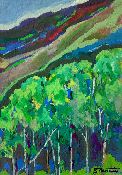 Aspens in June