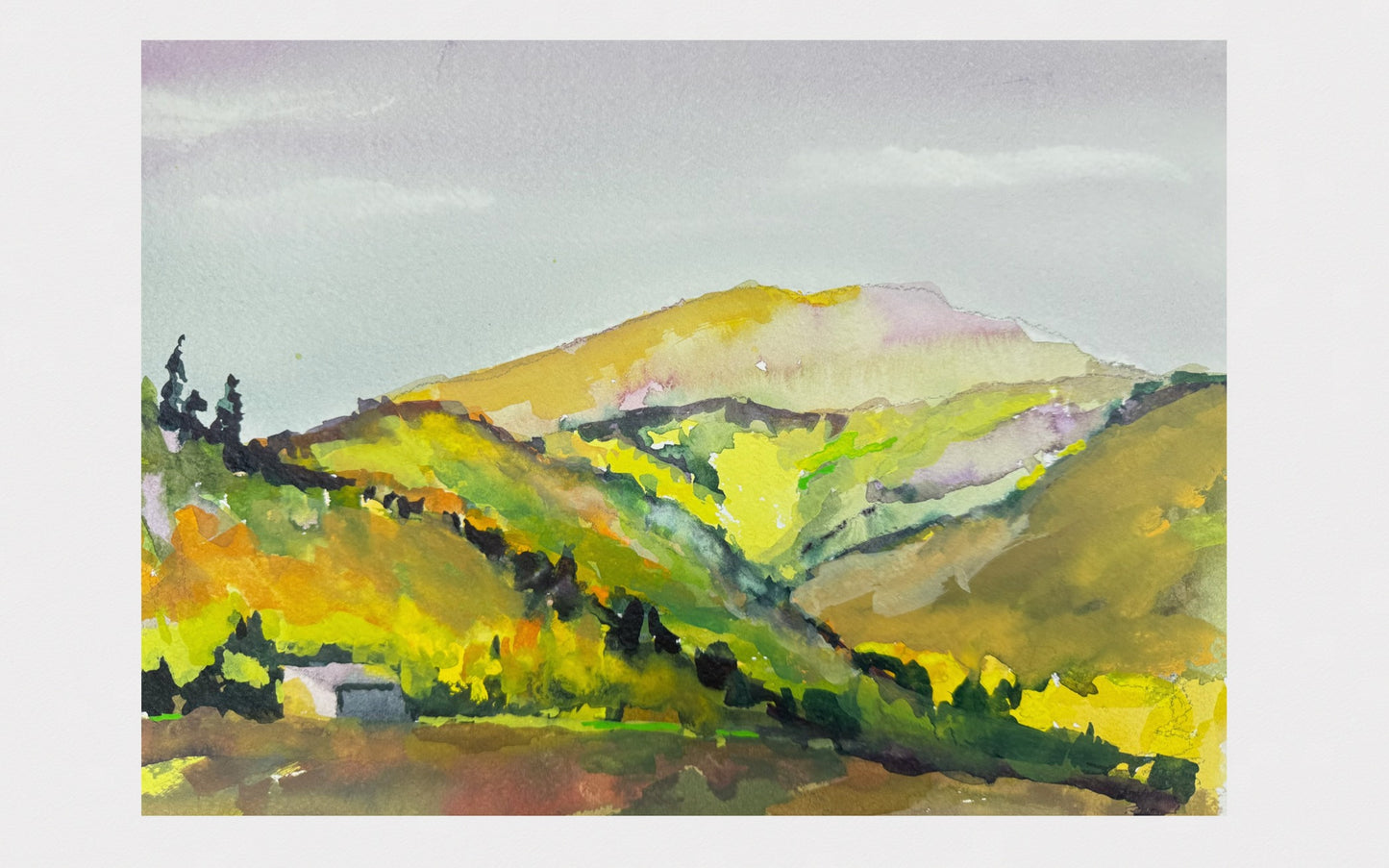 Wilderness Ranch