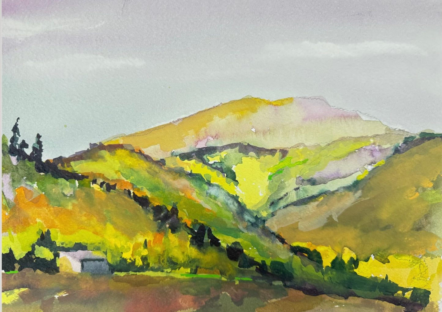 Wilderness Ranch